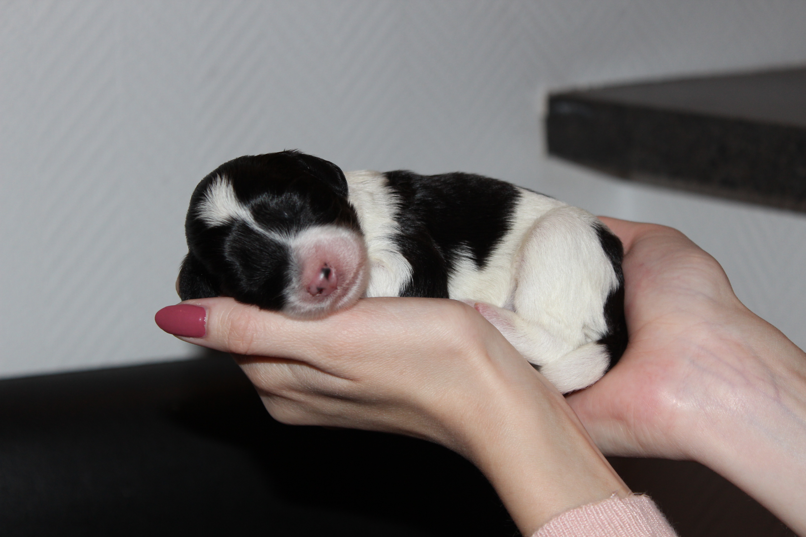 3 Tage alt 