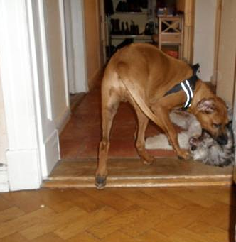 22.09.2010 - Toben ist toll