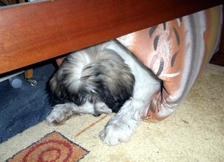 17.07.2010 - Was ist denn da?
