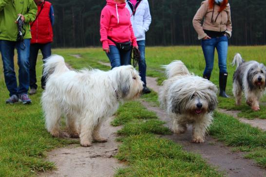 Penelope und Mama Wanda