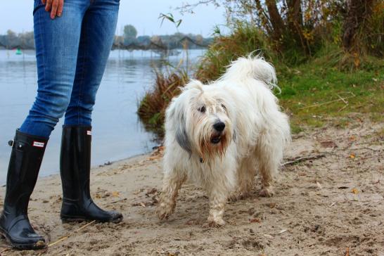 Polly unsere Österreicherin