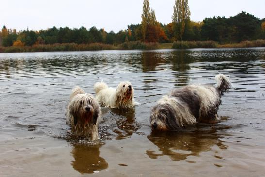 Wasser - Spaß: Wanda, Pari und Dworak