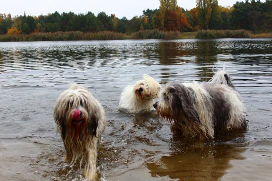 Mama Wanda, Tochter Pari und Dworak