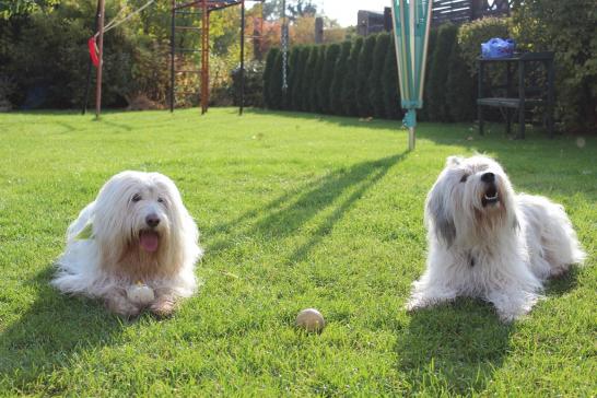 Pari und Polly